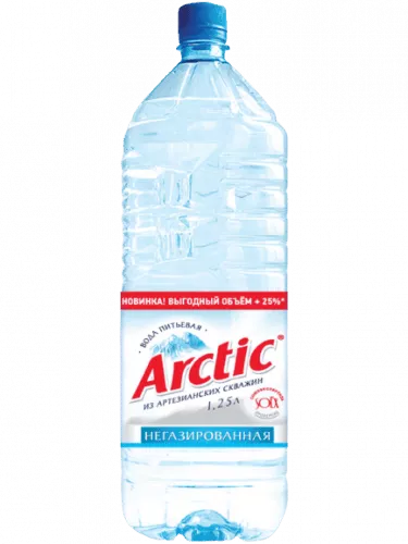 Вода Arctic /Арктик 1,25л. без газа (12 шт.) - основное фото