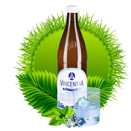 Вода Vincentka / Винцентка 0.7л газированная стекло (6шт) - основное фото