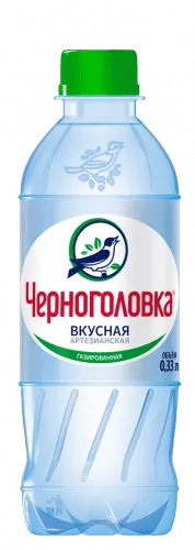 Вода Черноголовка / Черноголовская 0,33 л. газированная (12 бут.) - основное фото