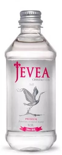 Вода Живея / Jevea 0.5 л. без газа (12 бут.) ПЭТ - основное фото