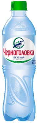 Вода Черноголовка / Черноголовская 0,5 л. газированная (12 бут.) - основное фото