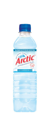 Вода Arctic /Арктик 0,5л. без газа (12 шт.) - основное фото