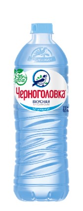 Вода Черноголовка / Черноголовская 0,5 л. негазированная (12 бут.) - основное фото