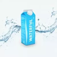 Вода Waterful/Ватерфул 1 л без газа 12 шт