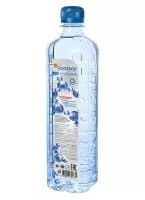 Вода RUSOXY 1.2 л. без газа (6 шт.)
