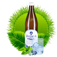 Вода Vincentka / Винцентка 0.7л газированная стекло (6шт)