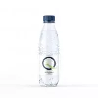 Aquanika / Акваника 0.25л б/г ПЭТ (24 шт.)