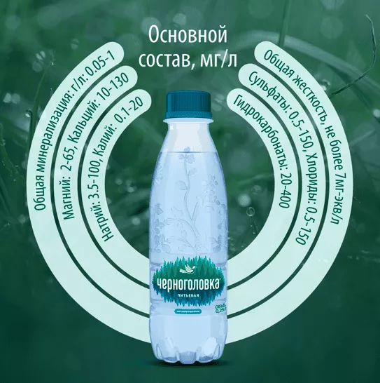 Вода Черноголовка / Черноголовская 0,25 л. газированная (24 бут.) - дополнительное фото