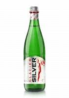 Вода Славяновская с серебром (GLACIER SILVER) ЭМГ газ ст. 0,5 (12)