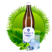 Vincentka / Винцентка 0.7л газ стекло (6шт)